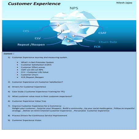 Customer Experience -- Type of measurement system s | PDF