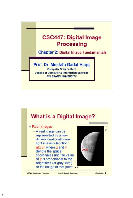 Digital Image Processing: Digital Image Fundamentals