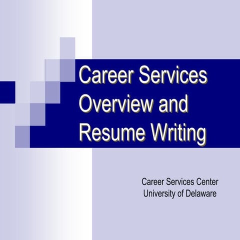 WHAT IS CAREER OVERVIEW IN RESUME visual data 8