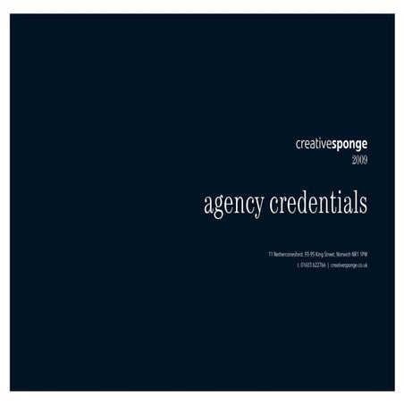 Creative Sponge - Agency Credentials