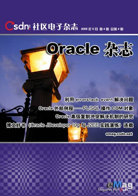 Csdn Emag(Oracle)第四期