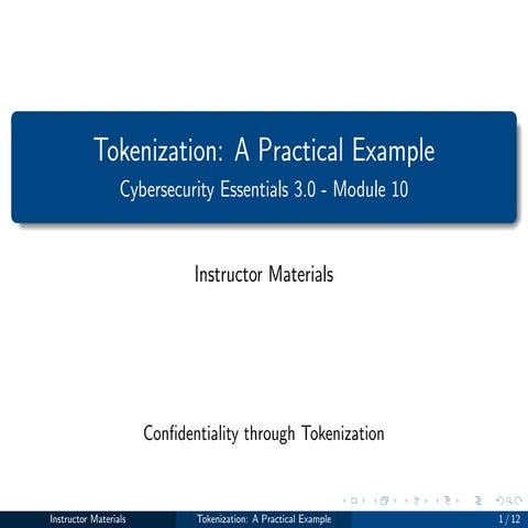 CSE 429 computer security and cyber security course (Tokenization).pdf