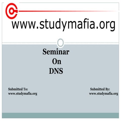CSE dns ppt.pptx