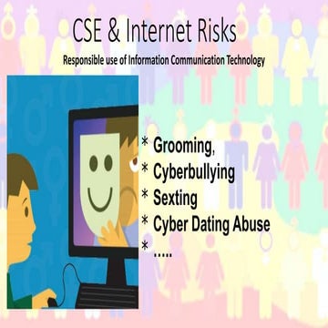CSE & INTERNET RISKS