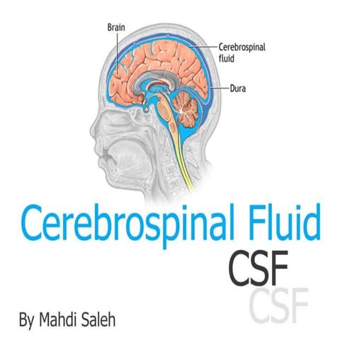 cerebrospinal fluid Csf