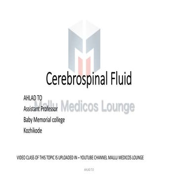 Cerebrospinal Fluid (CSF)