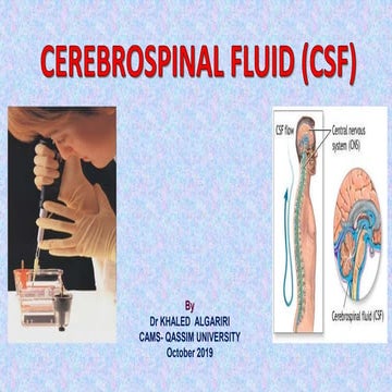 CEREBROSPINAL FLUID (CSF)