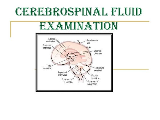 CEREBROSPINAL FLUID PHYSIOLOGY AND PATHOLOGY | PPTX