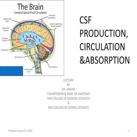 Csf production,circulation & absorption