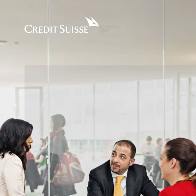 Company Profile 2013