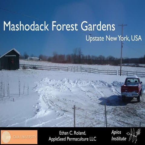 Mashodack Forest Gardens 2009