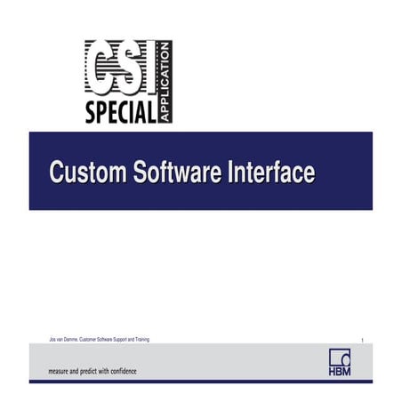 Csi custom software-interface | PDF