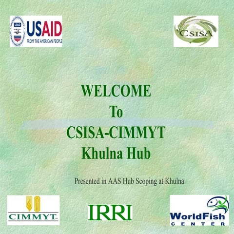 Csisa cimmyt 22 may 2012_sajahan