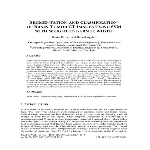 SEGMENTATION AND CLASSIFICATION OF BRAIN TUMOR CT IMAGES USING SVM WITH WEIGH...