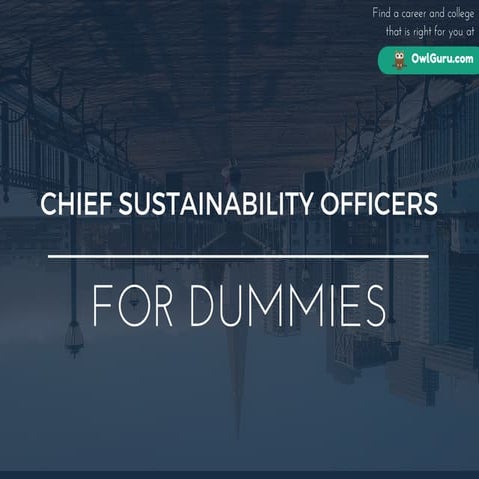 Chief Sustainability Officers for Dummies | What You Need To Know In 15 Slides