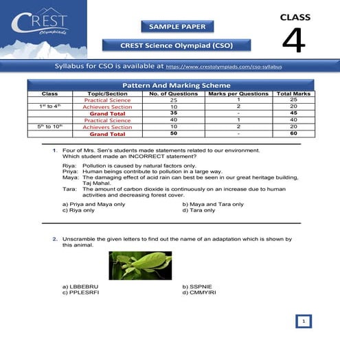 Cso sample-papers-for-class-5 | PDF