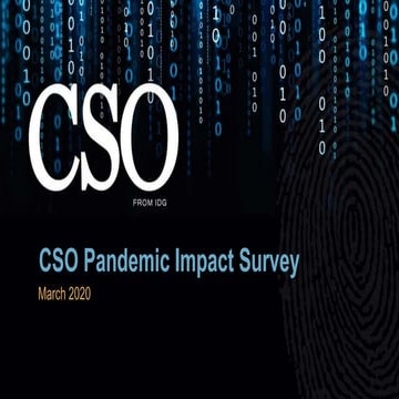 CSO Pandemic Impact Survey, 2020