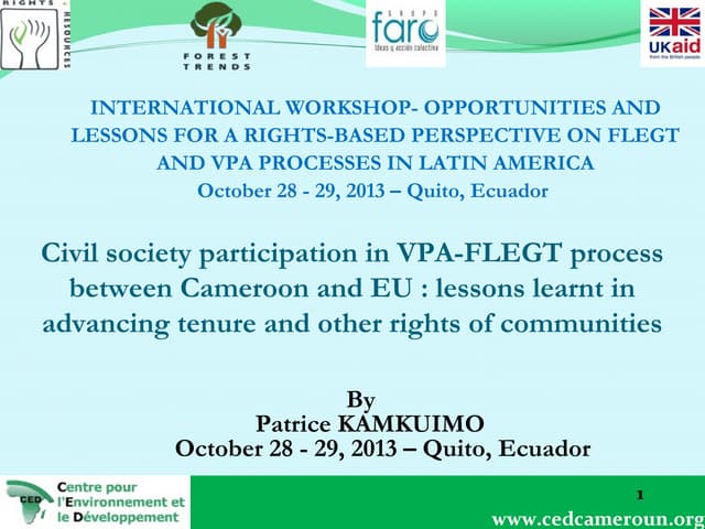 Cso participation in vpa flegt process in cameroon lessons learnt