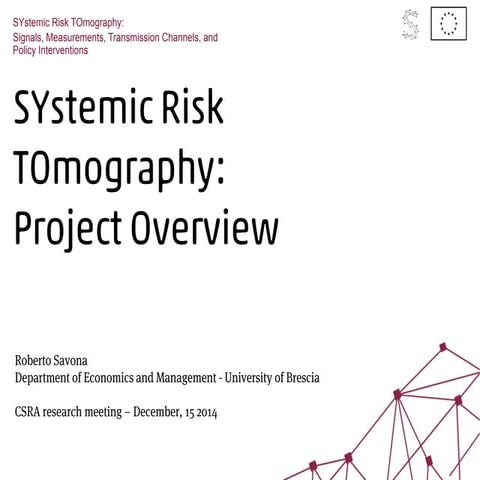 Systemic Risk Tomography: Project Overview - Roberto Savona. december, 15 2014