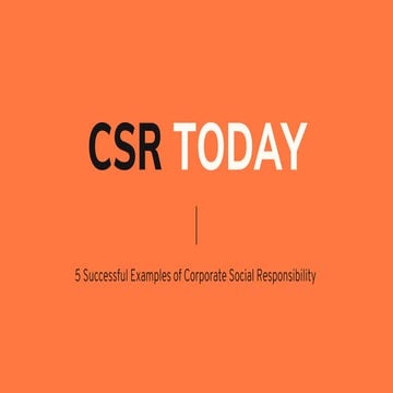5 Successful Examples of Corporate Social Responsibility | PDF