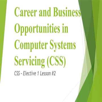 Exploring Career and Business Opportunities in Computer Systems ...