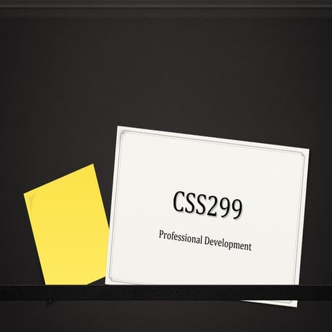 Css299