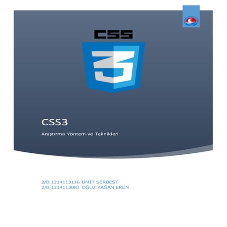 Css3 | PDF