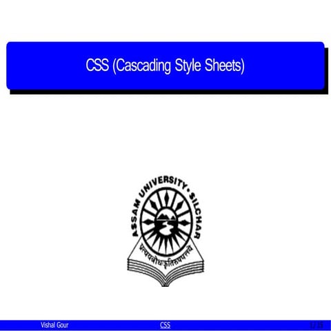 Cascading Style sheet by Vishal Gour Guest Faculty  CSE AUS
