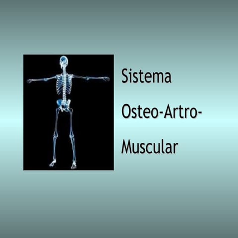 Huesos. Músculos. Articulaciones