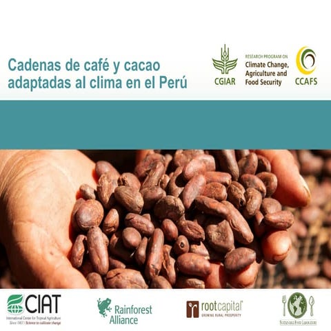 Cadenas de café y cacao adaptadas al clima en el Perú