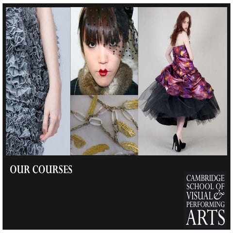 Csvpa presentation 2014