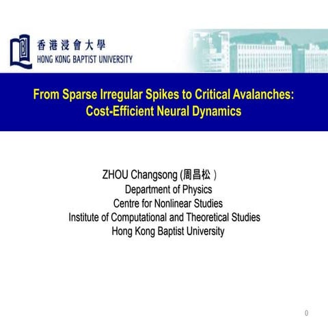 neuronal network of NS systems short.ppt