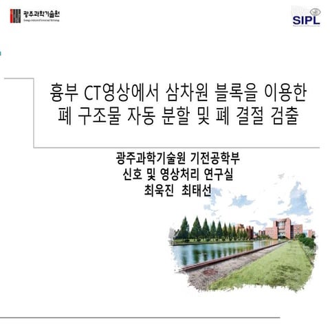 흉부 CT영상에서 삼차원 블록을 이용한 폐 구조물 자동 분할 및 폐...