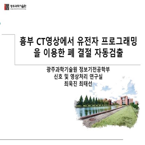 흉부 CT영상에서 유전자 프로그래밍을 이용한 폐 결절 자동 검출