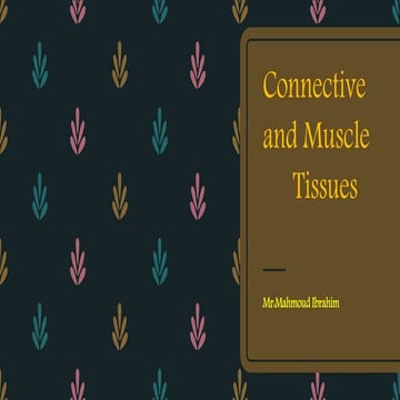Connective Tissue