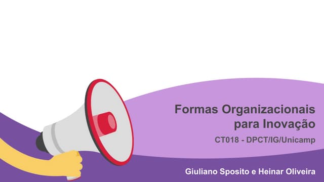 Formas Organizacionais para Inovação - DPCT/IG/Unicamp - CT018