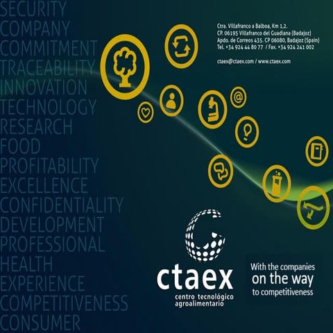 CTAEX, your R&D international partner