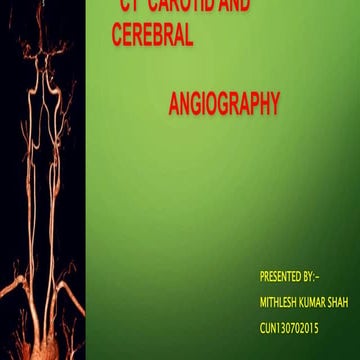 Ct  carotid and cerebral
