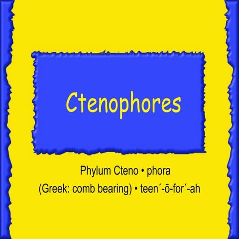 Ctenophores pp