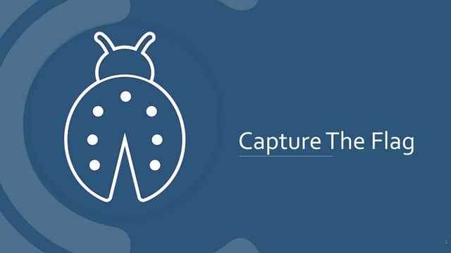 Capture The Flag
