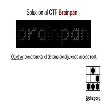 CTF Brainpan