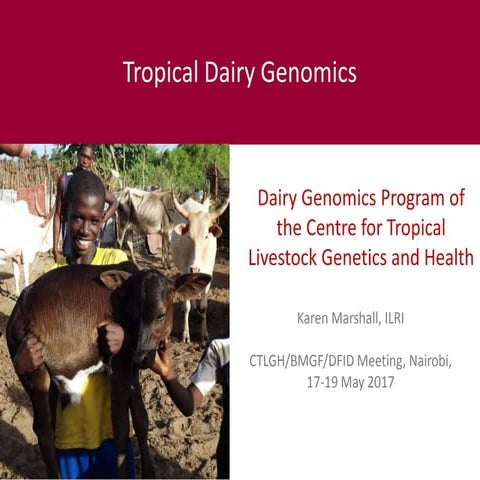 Tropical dairy genomics 