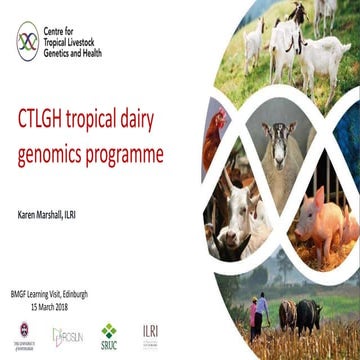 CTLGH tropical dairy genomics programme 