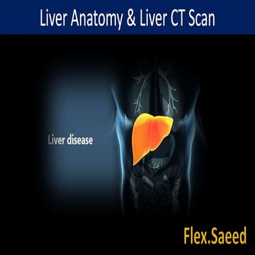 LIVER SEGMENT ANATOMY CT SCAN 