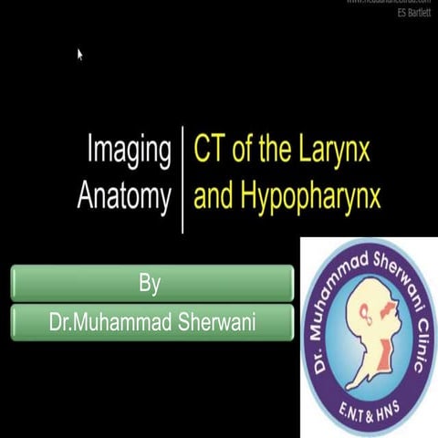 Ct of the larynx