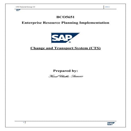 Change and Transport System (CTS) in SAP