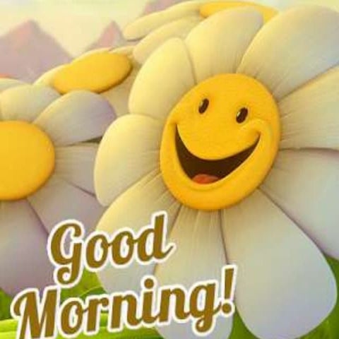 Ct scan and its interpretation in omfs