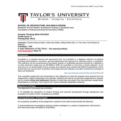 CTS E-portfolio Brief 