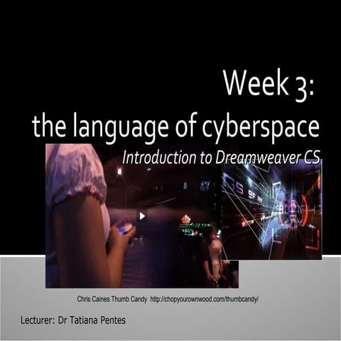 The Language of Cyberspace: UTS Lecture