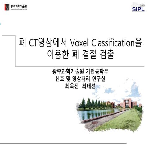 폐 CT영상에서 voxel classification을 이용한 폐 결절 검출